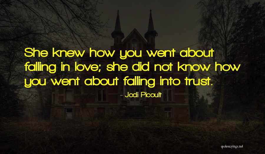 Prodigy The Game Quotes By Jodi Picoult Prodigy The Game Quotes By Jodi Picoult