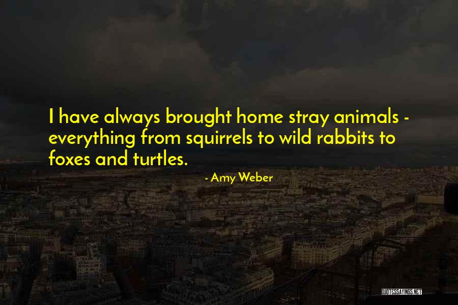 Prodipani Quotes By Amy Weber Prodipani Quotes By Amy Weber