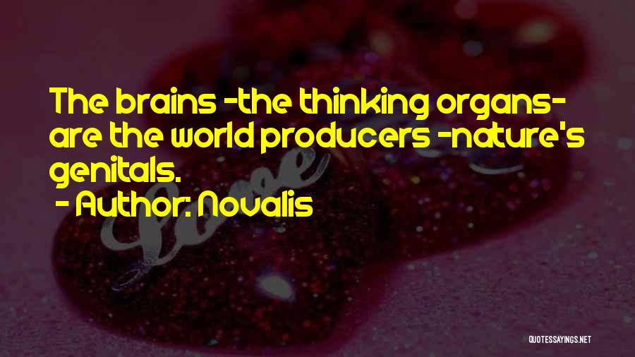 Producers Quotes By Novalis