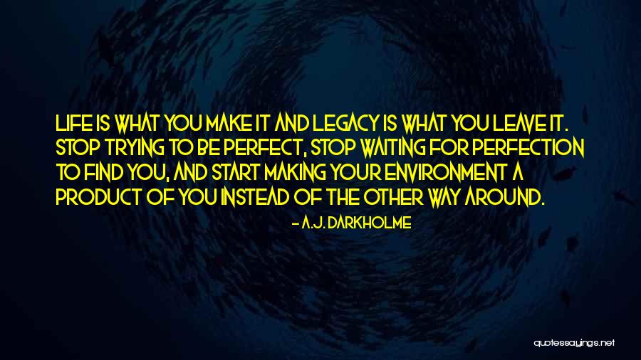 Product Of My Environment Quotes By A.J. Darkholme