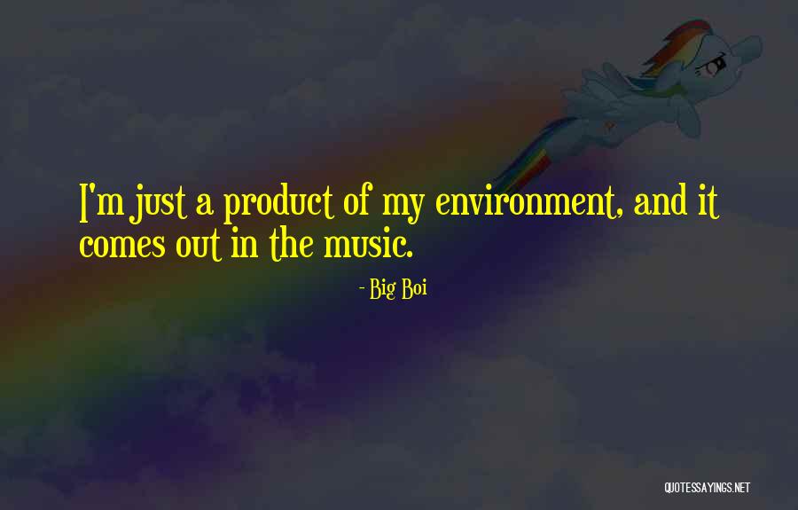 Product Of My Environment Quotes By Big Boi