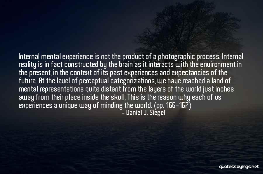 Product Of My Environment Quotes By Daniel J. Siegel