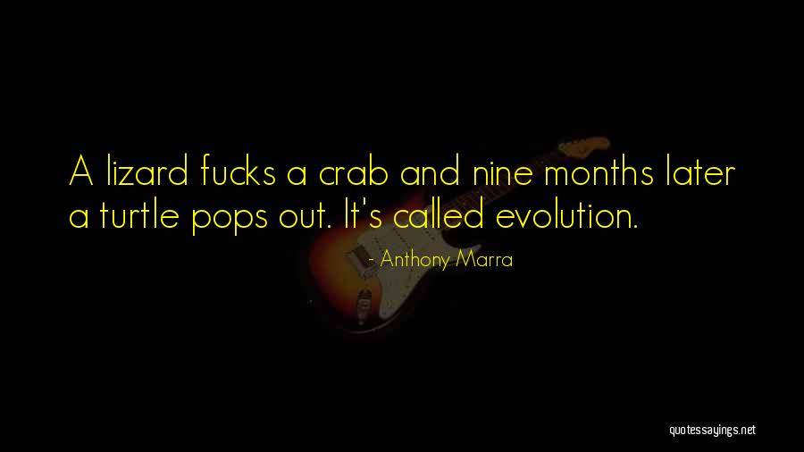 Productful Synonym Quotes By Anthony Marra Productful Synonym Quotes By Anthony Marra