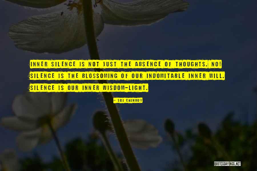 Productiva Significado Quotes By Sri Chinmoy Productiva Significado Quotes By Sri Chinmoy