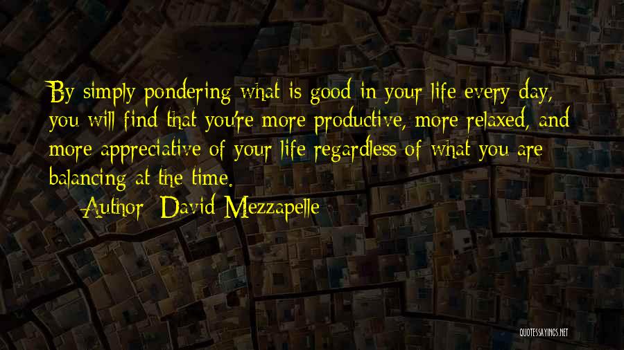 Productive Life Quotes By David Mezzapelle