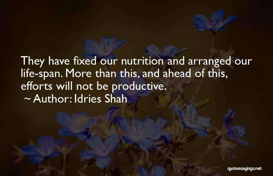 Productive Life Quotes By Idries Shah