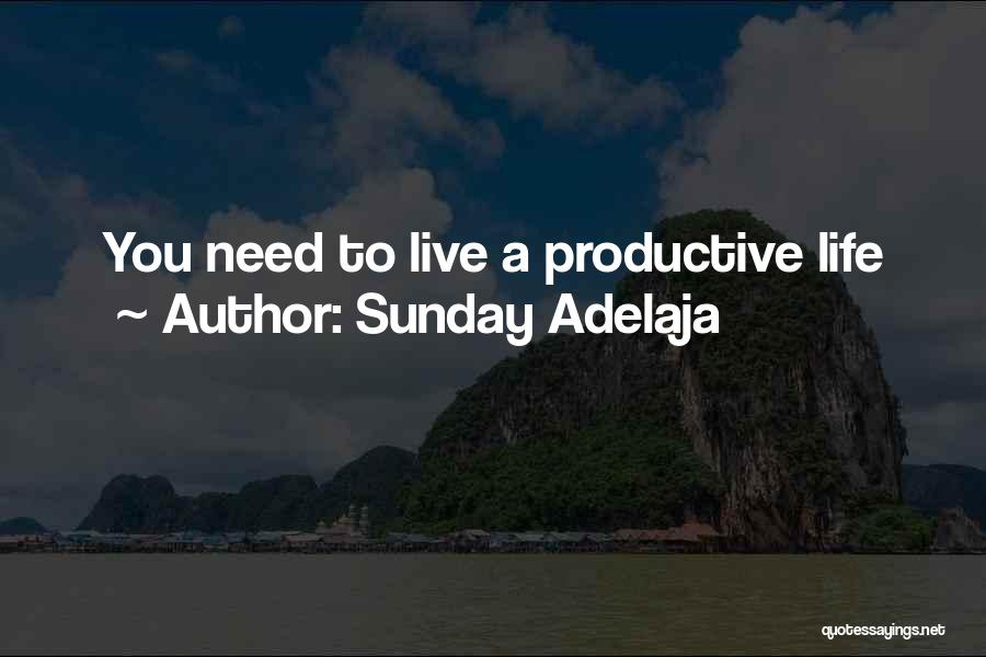 Productive Life Quotes By Sunday Adelaja