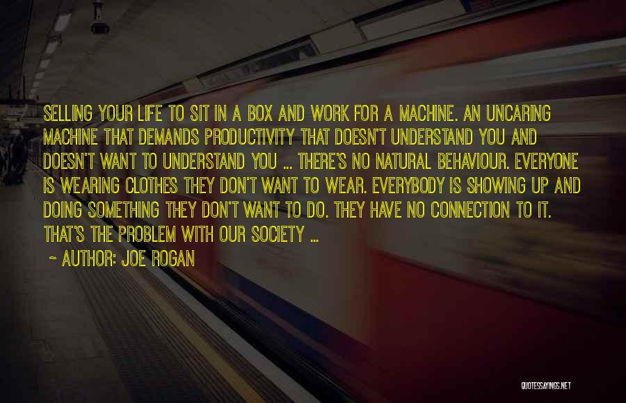 Productivity In Life Quotes By Joe Rogan