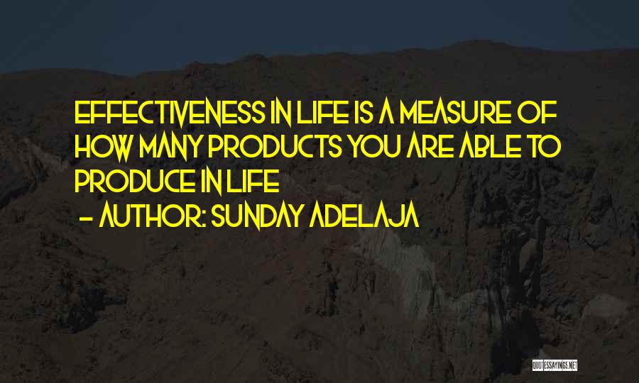 Productivity In Life Quotes By Sunday Adelaja