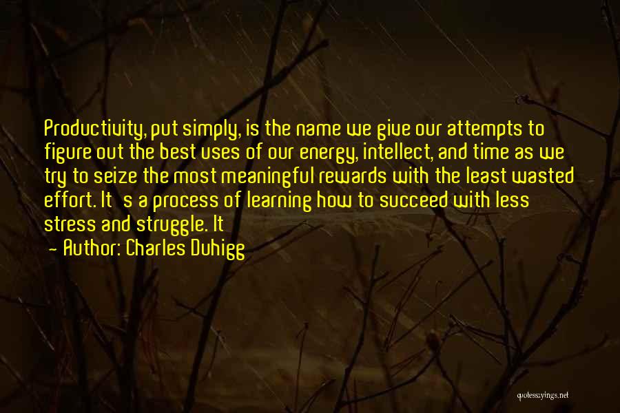 Productivity Quotes By Charles Duhigg