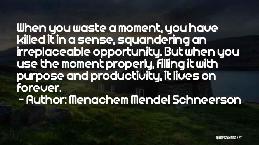 Productivity Quotes By Menachem Mendel Schneerson