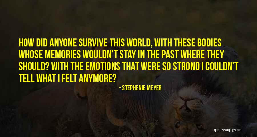 Producto Interno Quotes By Stephenie Meyer Producto Interno Quotes By Stephenie Meyer