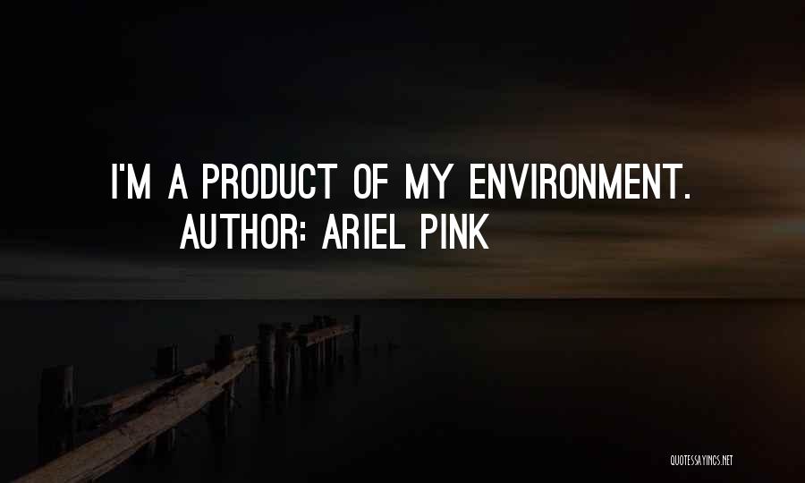 Products Of Our Environment Quotes By Ariel Pink