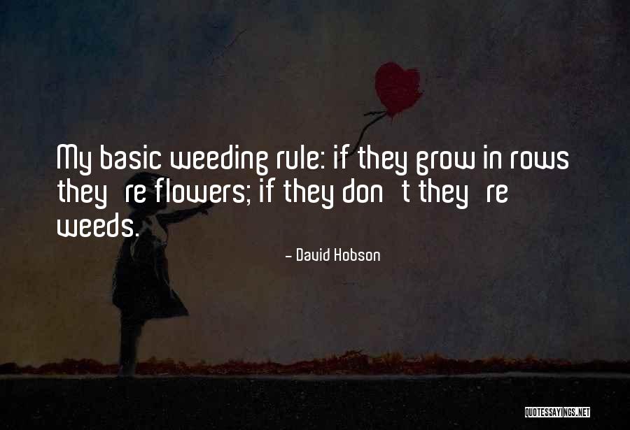 Produzir Cogumelos Quotes By David Hobson Produzir Cogumelos Quotes By David Hobson