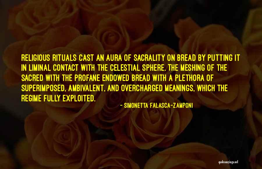 Profane Quotes By Simonetta Falasca-Zamponi