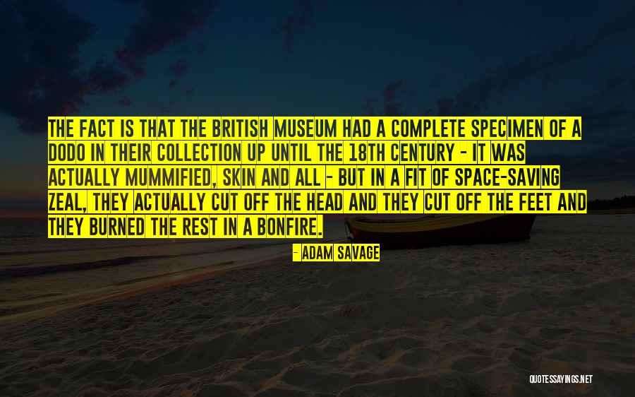 Profesiones Dibujos Quotes By Adam Savage Profesiones Dibujos Quotes By Adam Savage