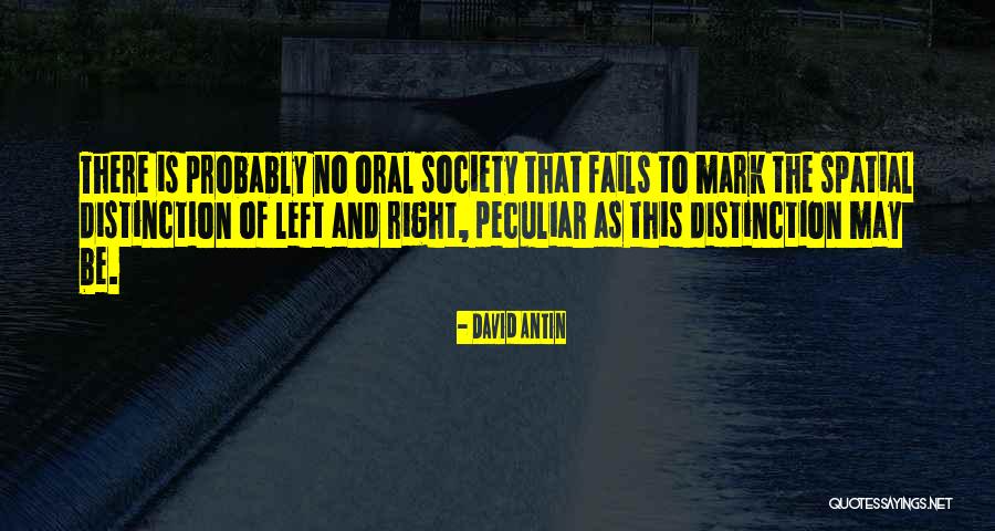Professional And Unprofessional Quotes By David Antin Professional And Unprofessional Quotes By David Antin