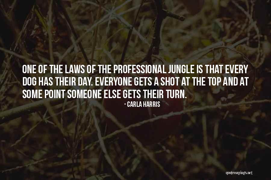 Professional Career Quotes By Carla Harris Professional Career Quotes By Carla Harris
