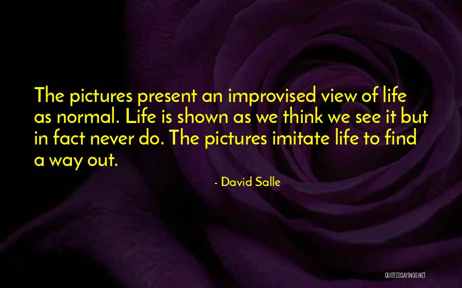Professional Moving Companies Quotes By David Salle Professional Moving Companies Quotes By David Salle