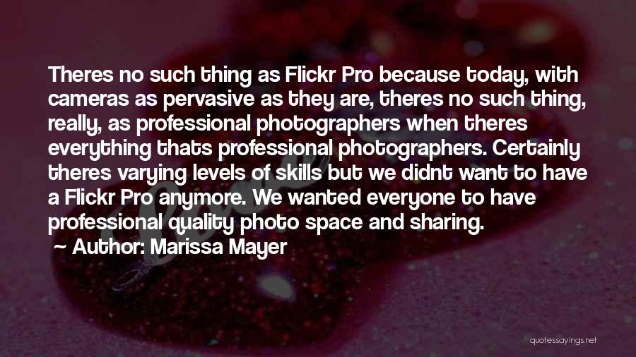 Professional Photographers Quotes By Marissa Mayer