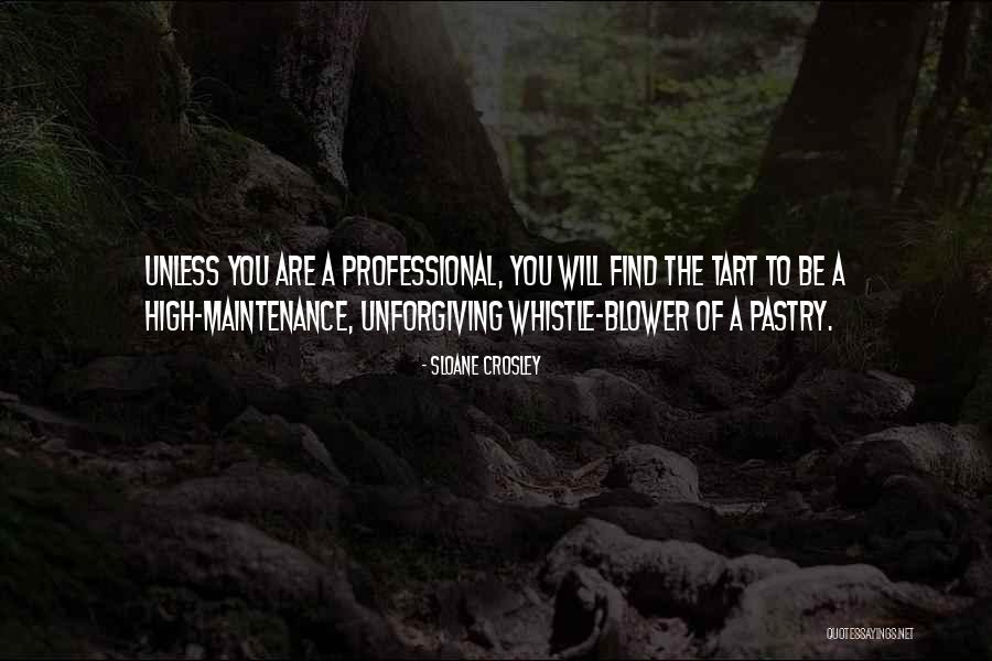Professional Quotes By Sloane Crosley Professional Quotes By Sloane Crosley