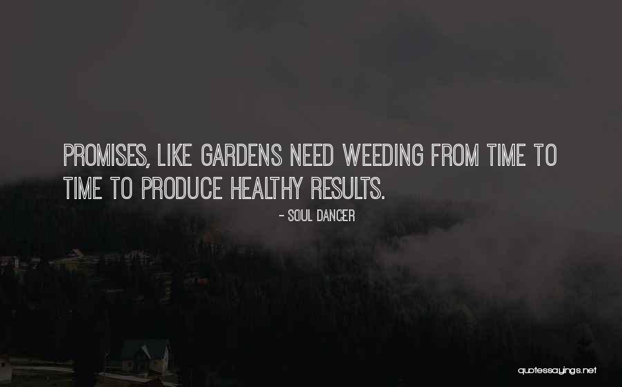 Professional Quotes By Soul Dancer Professional Quotes By Soul Dancer