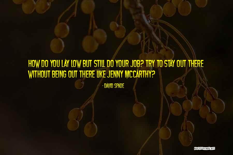 Professional Services Quotes By David Spade Professional Services Quotes By David Spade