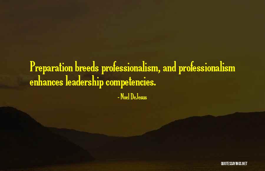 Professionalism Quotes By Noel DeJesus