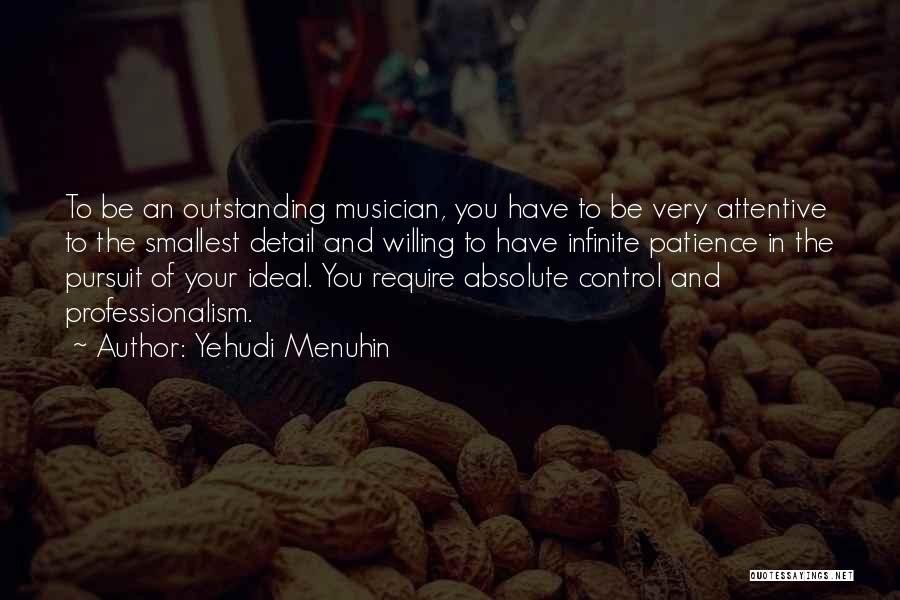 Professionalism Quotes By Yehudi Menuhin
