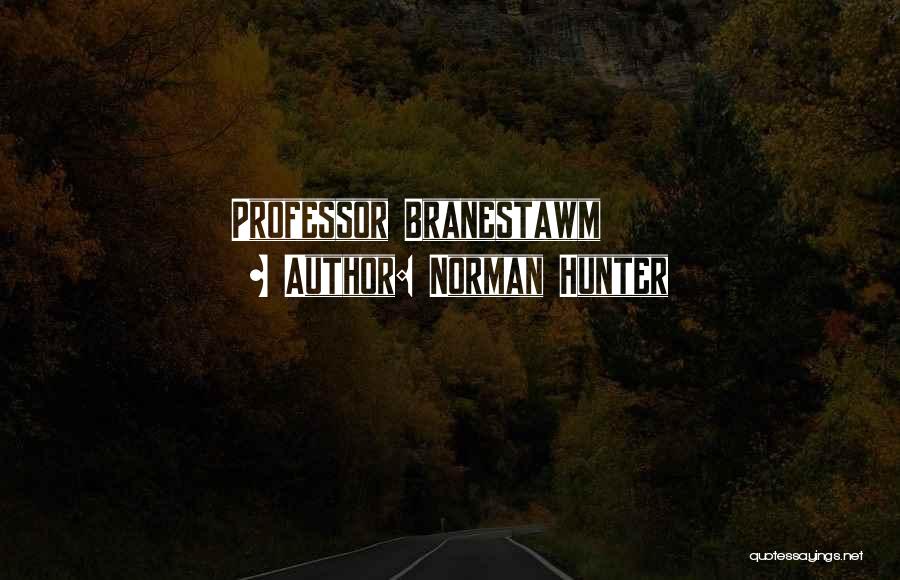 Professor Branestawm Quotes By Norman Hunter