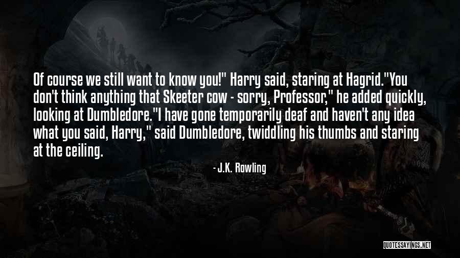 Professor Dumbledore Quotes By J.K. Rowling Professor Dumbledore Quotes By J.K. Rowling