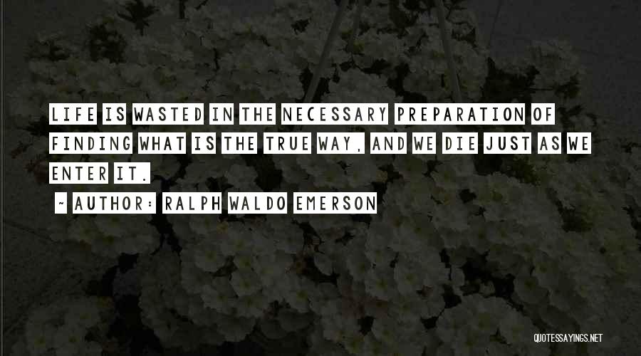 Professor John Hattie Quotes By Ralph Waldo Emerson