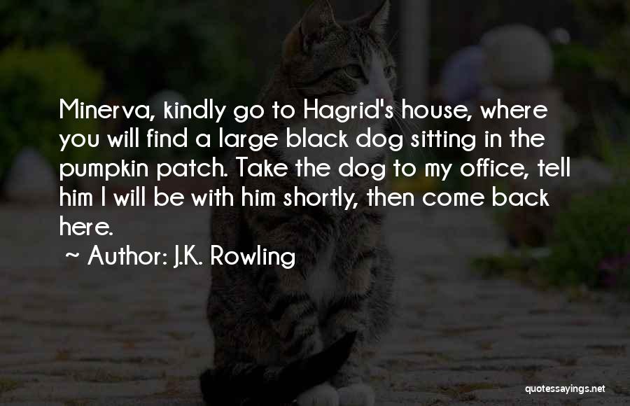 Professor Mcgonagall Quotes By J.K. Rowling