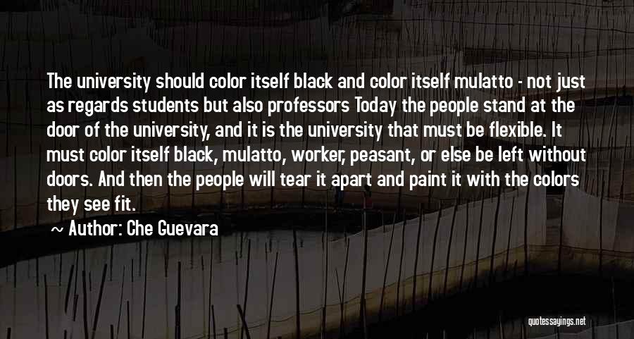 Professors And Students Quotes By Che Guevara