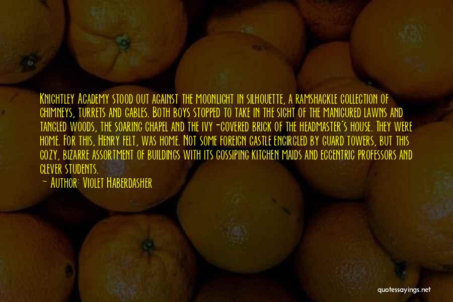 Professors And Students Quotes By Violet Haberdasher