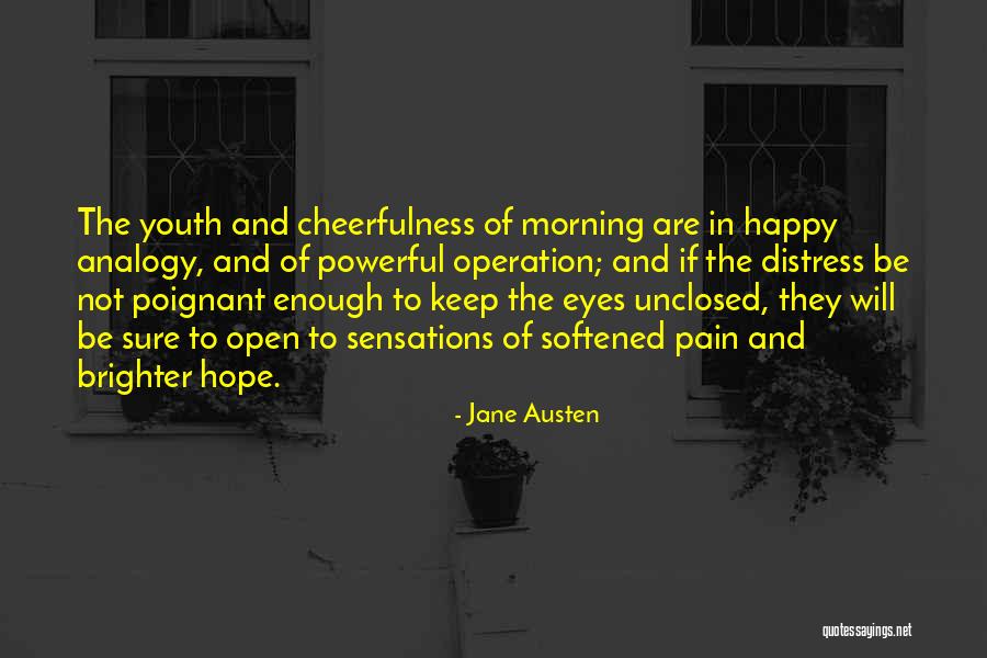 Professorship Hierarchy Quotes By Jane Austen Professorship Hierarchy Quotes By Jane Austen
