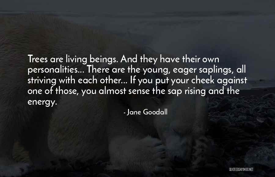 Professorship Hierarchy Quotes By Jane Goodall Professorship Hierarchy Quotes By Jane Goodall