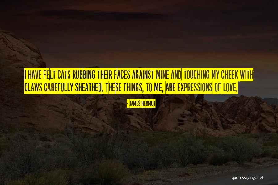 Profetizar Definicion Quotes By James Herriot Profetizar Definicion Quotes By James Herriot
