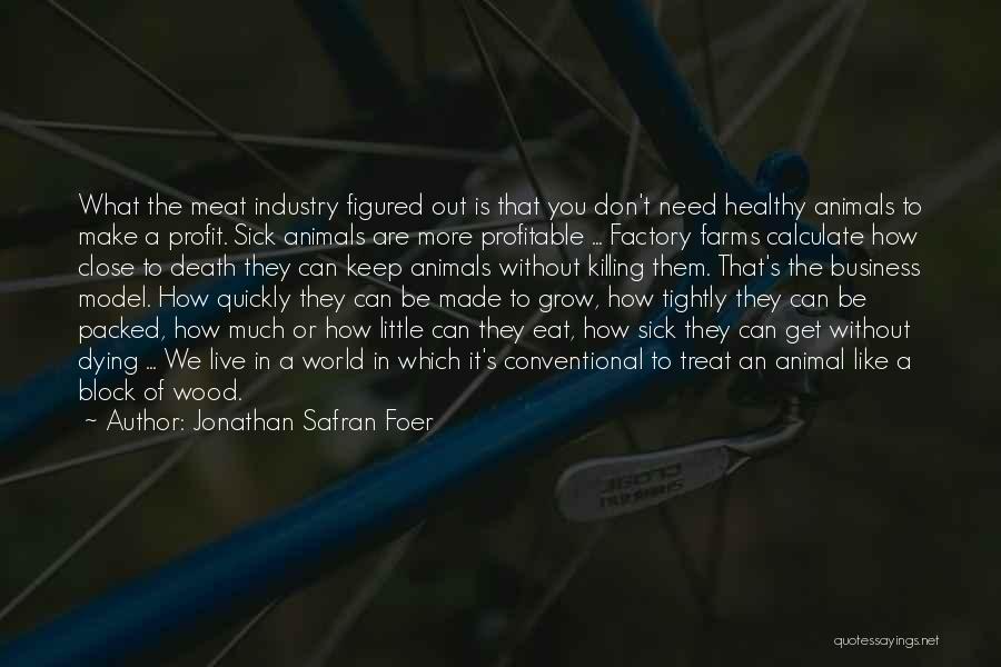 Profitable Business Quotes By Jonathan Safran Foer
