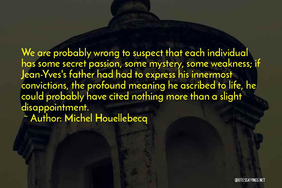 Profound Meaning Quotes By Michel Houellebecq