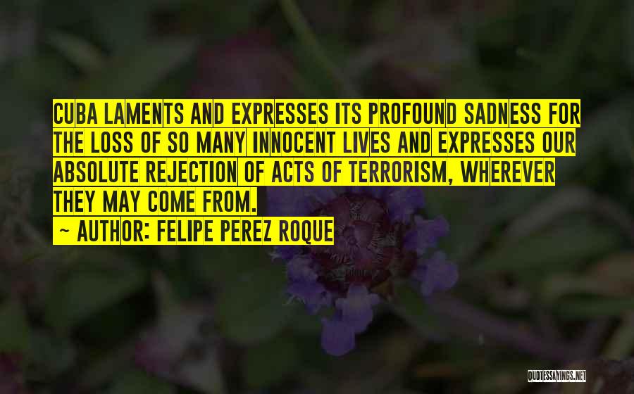 Profound Sadness Quotes By Felipe Perez Roque
