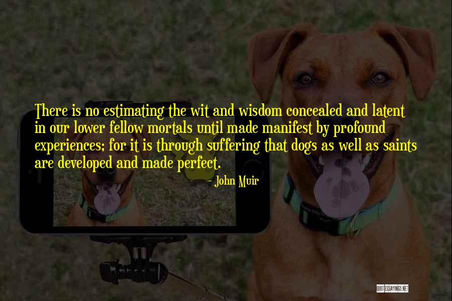 Profound Wisdom Quotes By John Muir Profound Wisdom Quotes By John Muir