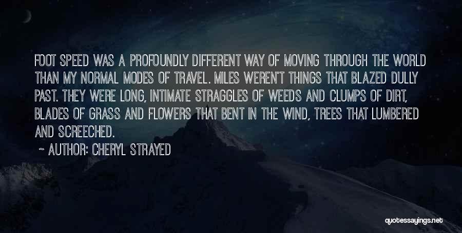 Profoundly Normal Quotes By Cheryl Strayed