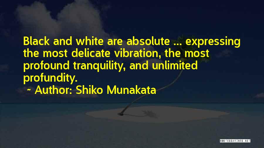 Profundity Quotes By Shiko Munakata
