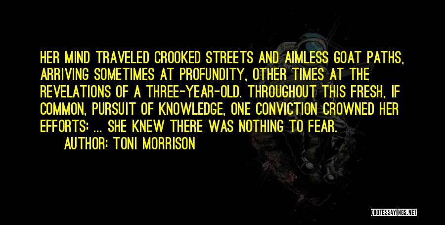 Profundity Quotes By Toni Morrison