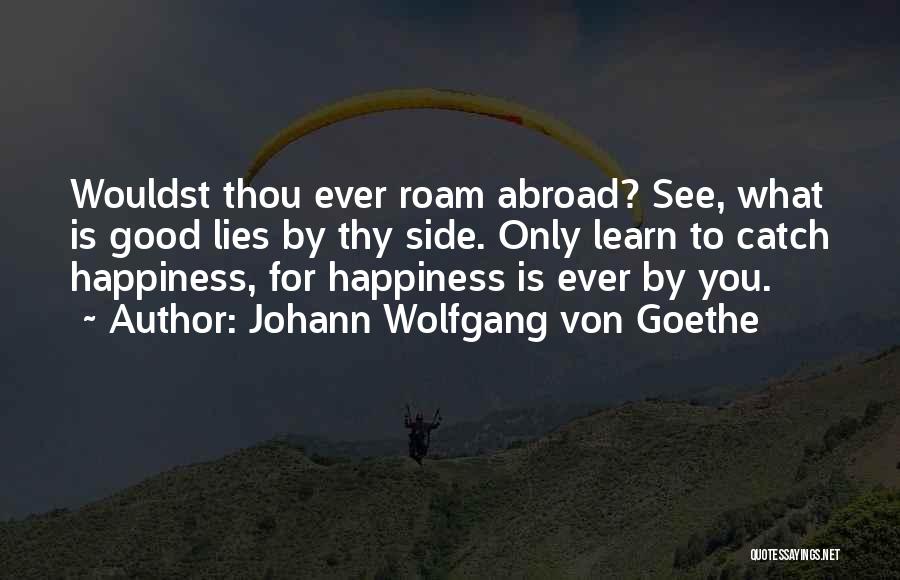 Profuse Sweating Quotes By Johann Wolfgang Von Goethe