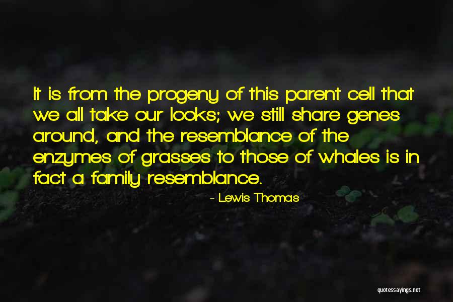 Progeny Quotes By Lewis Thomas