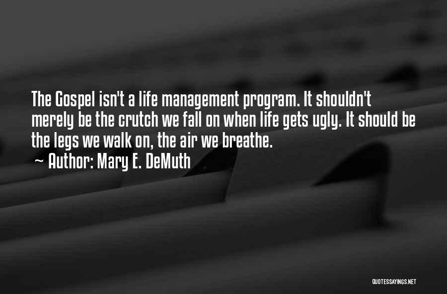 Program Management Quotes By Mary E. DeMuth
