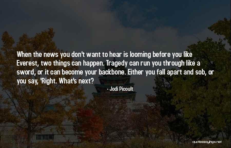 Programa Para Quotes By Jodi Picoult Programa Para Quotes By Jodi Picoult