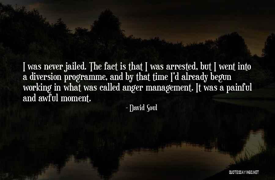 Programme Management Quotes By David Soul Programme Management Quotes By David Soul